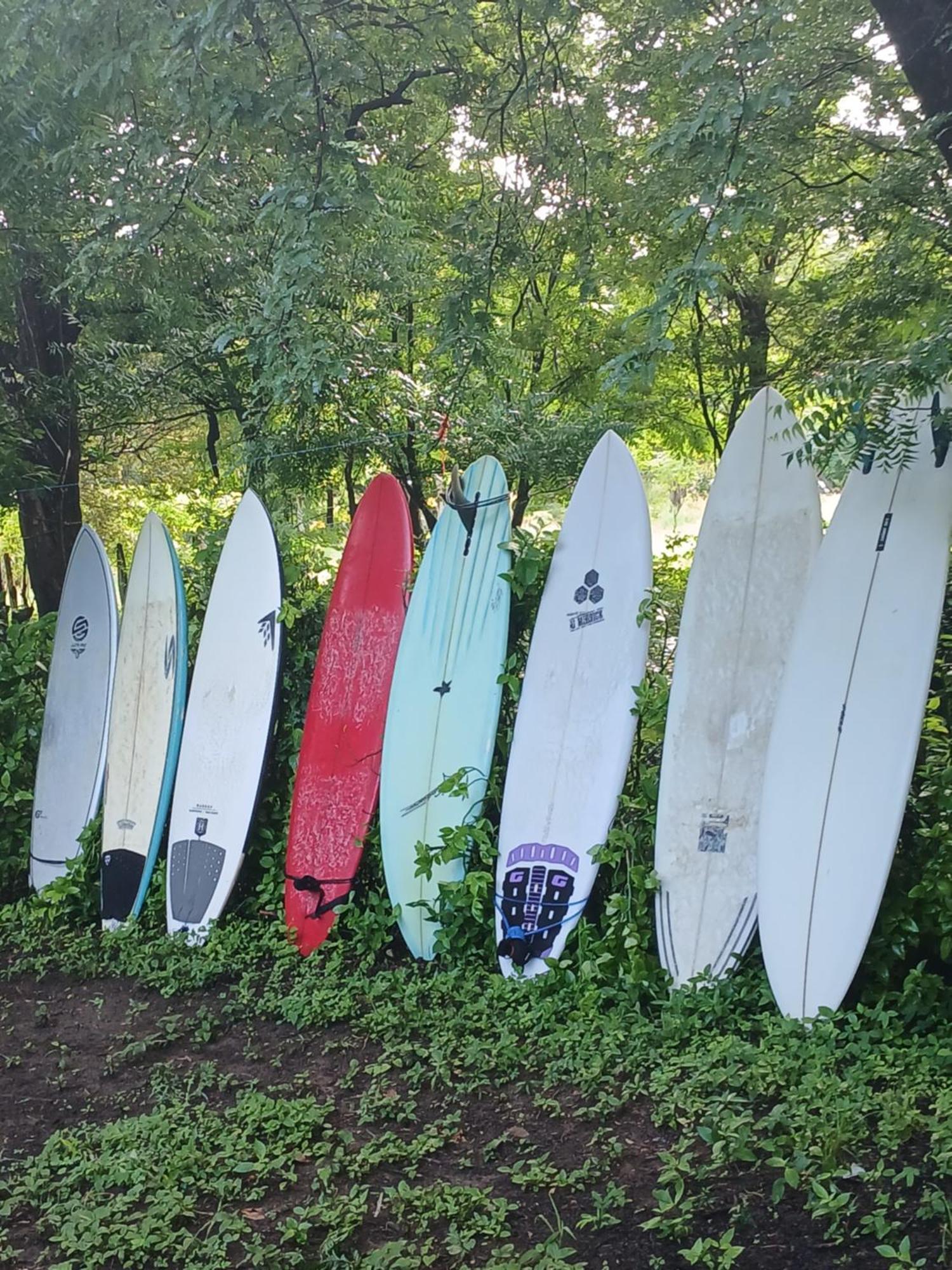 Mola Mola Surf Popoyo Bed & Breakfast Eksteriør bilde